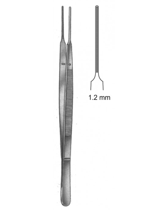 DF 19-5503-24