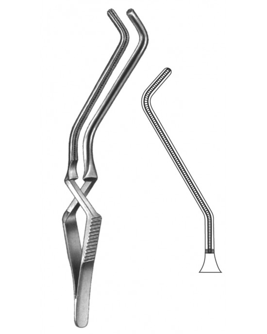 DF 19-5534-01