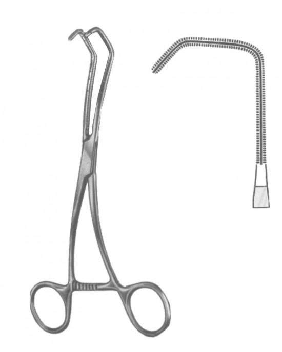 DF 19-5600-01