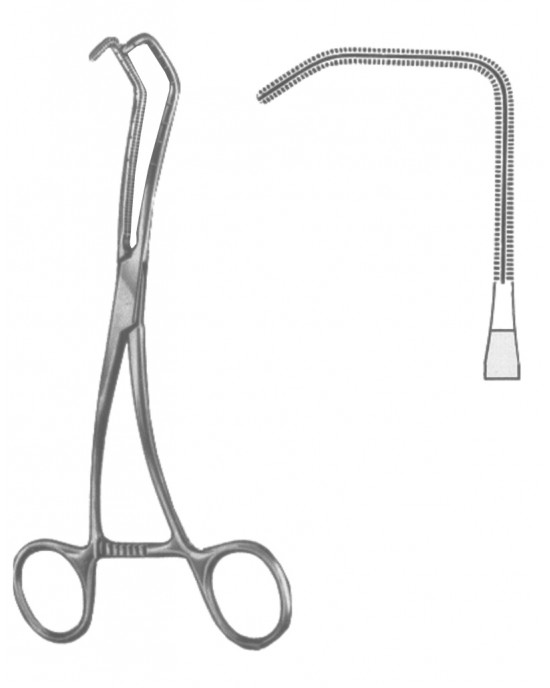 DF 19-5600-02