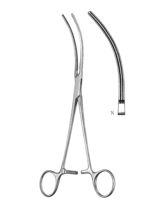 DF 19-5804-21