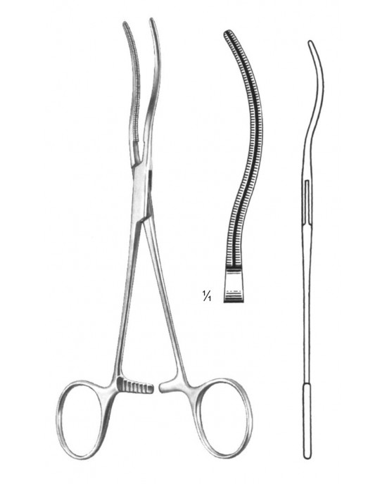 DF 19-5833-17