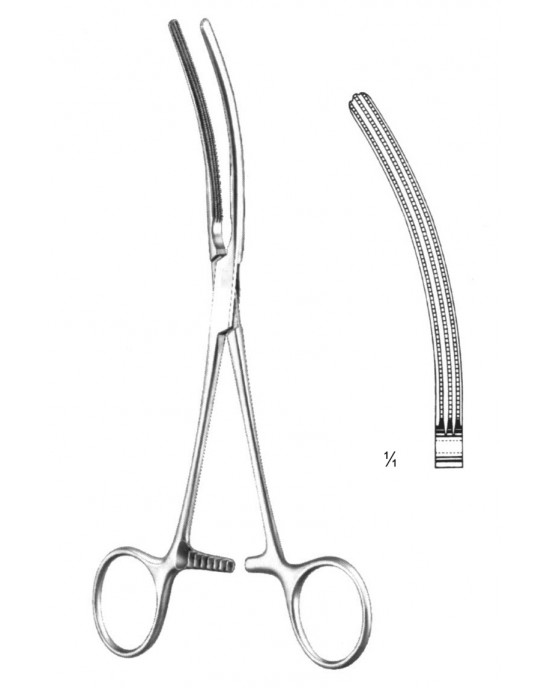 DF 19-5856-13
