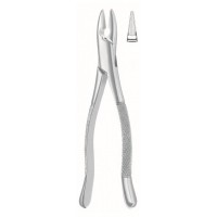 Extracting Forceps American Pattern