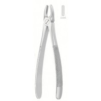 Extracting Forceps English Pattern