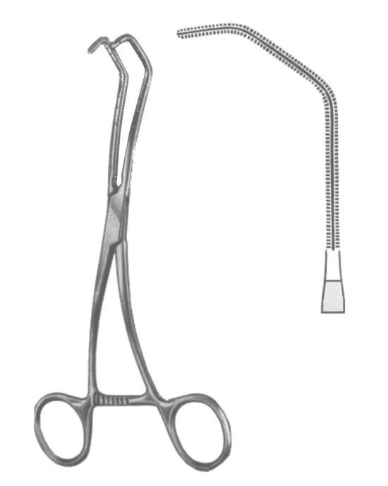 DF 19-5600-04